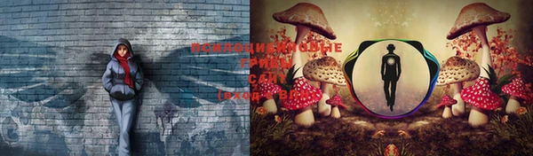 прущая мука Наволоки