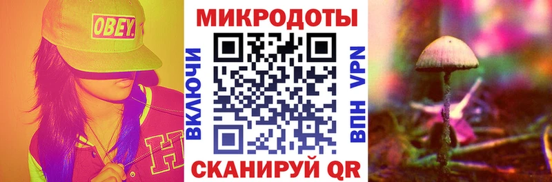 купить сайты Фурманов Галлюциногенные грибы Psilocybe